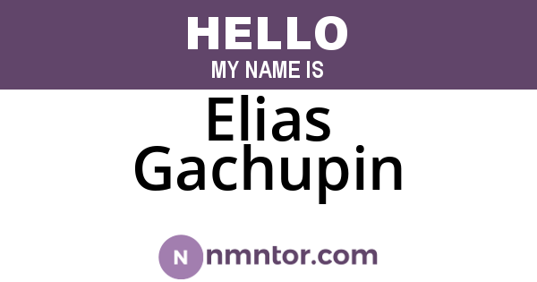 Elias Gachupin
