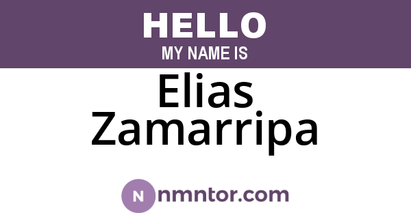 Elias Zamarripa