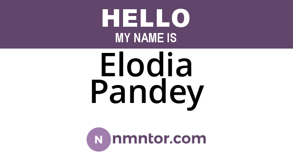 Elodia Pandey