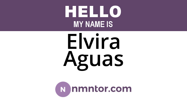 Elvira Aguas