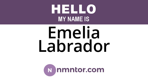 Emelia Labrador