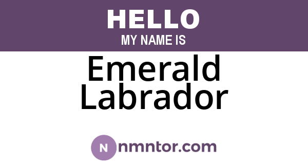 Emerald Labrador