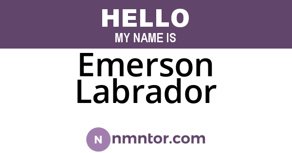 Emerson Labrador