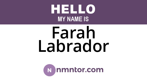 Farah Labrador