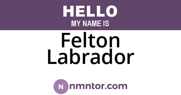 Felton Labrador