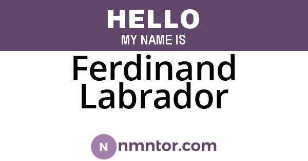 Ferdinand Labrador