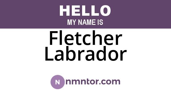 Fletcher Labrador