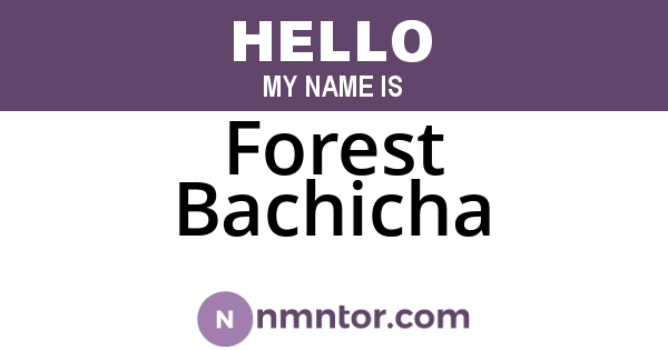 Forest Bachicha