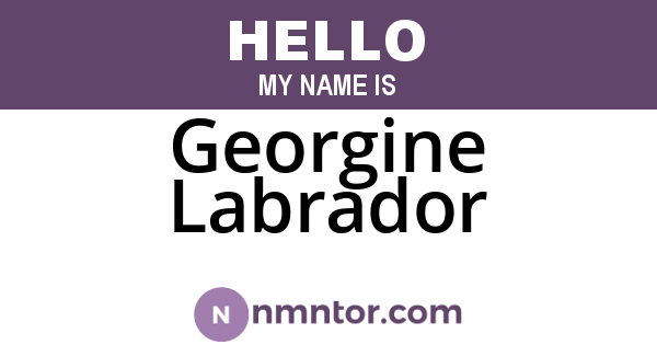 Georgine Labrador