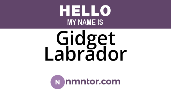 Gidget Labrador