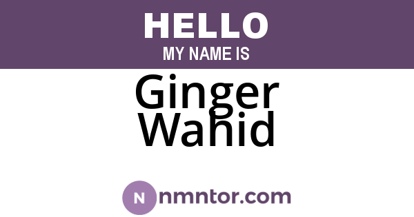 Ginger Wahid
