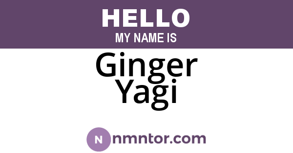 Ginger Yagi
