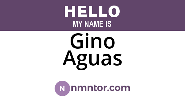 Gino Aguas