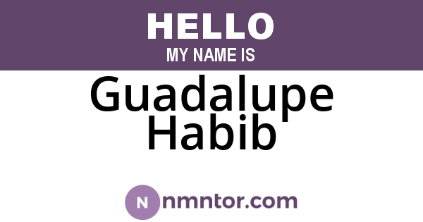 Guadalupe Habib