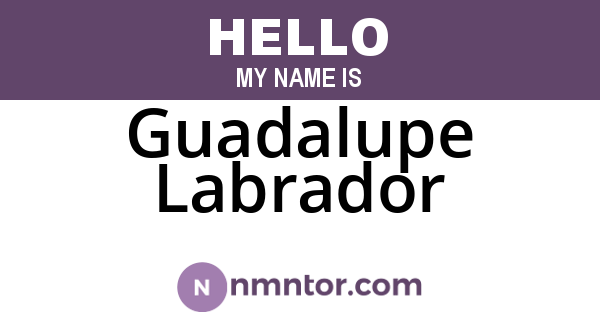 Guadalupe Labrador