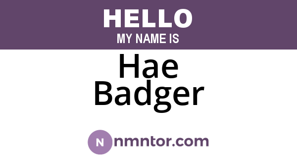Hae Badger