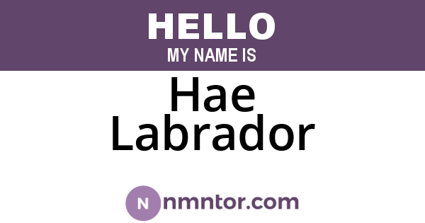 Hae Labrador