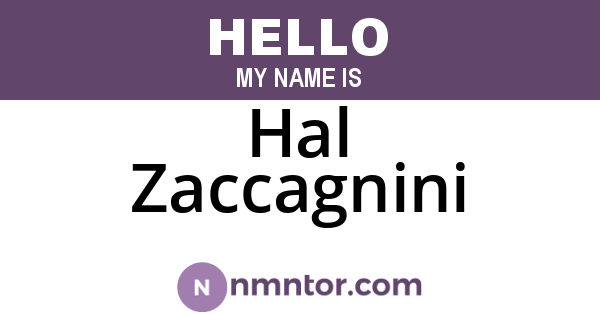 Hal Zaccagnini