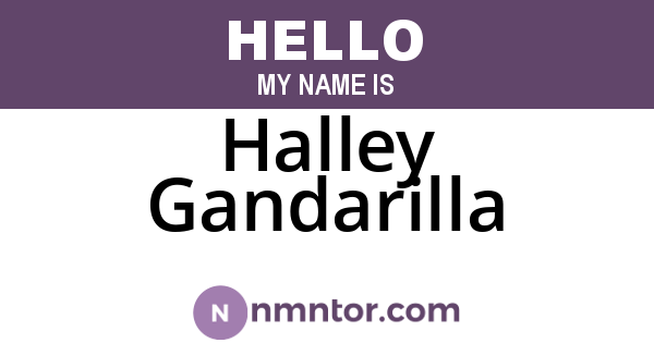 Halley Gandarilla