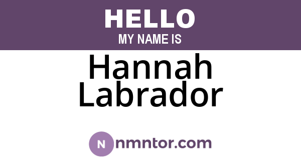 Hannah Labrador