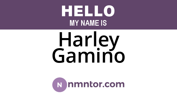 Harley Gamino