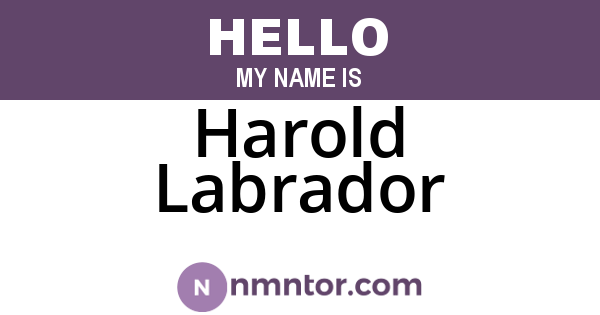 Harold Labrador