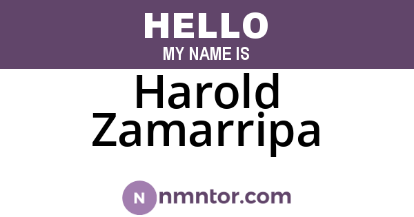 Harold Zamarripa