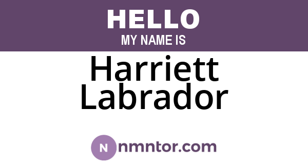 Harriett Labrador