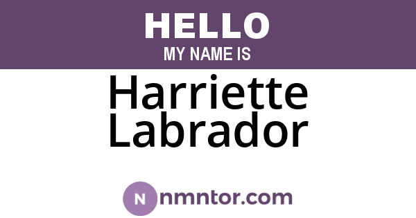 Harriette Labrador