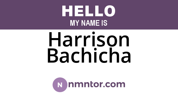 Harrison Bachicha