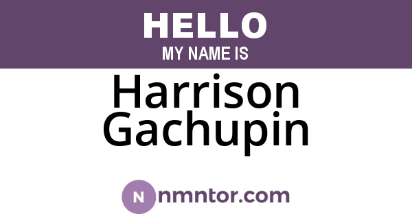 Harrison Gachupin