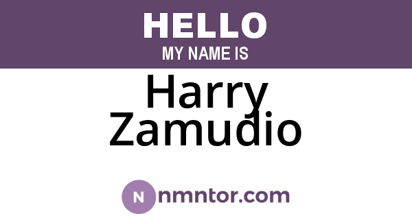 Harry Zamudio
