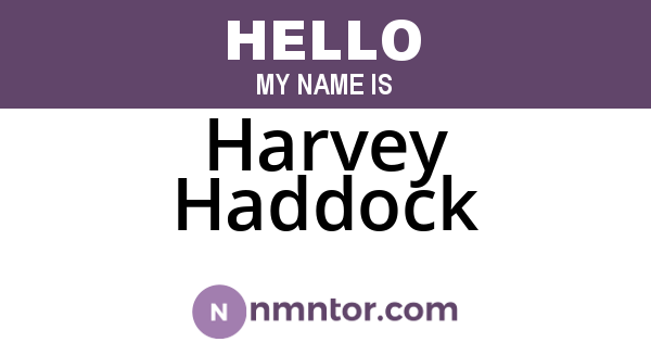 Harvey Haddock
