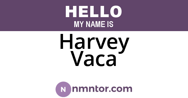 Harvey Vaca