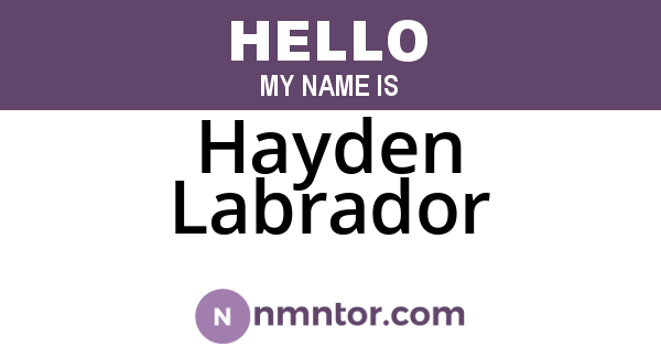 Hayden Labrador