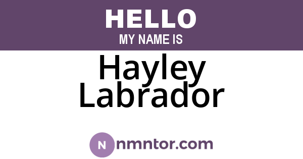 Hayley Labrador