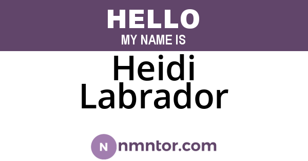 Heidi Labrador