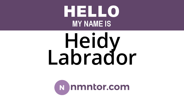 Heidy Labrador