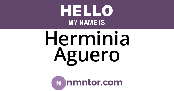 Herminia Aguero