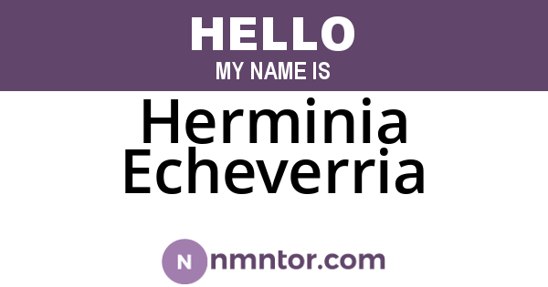 Herminia Echeverria