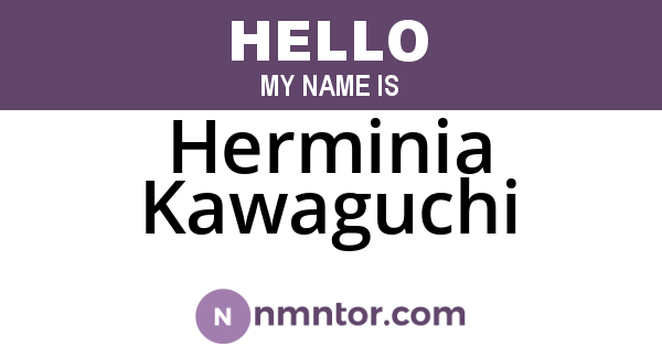 Herminia Kawaguchi