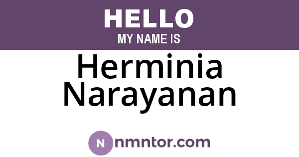 Herminia Narayanan