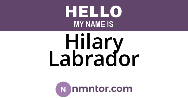 Hilary Labrador