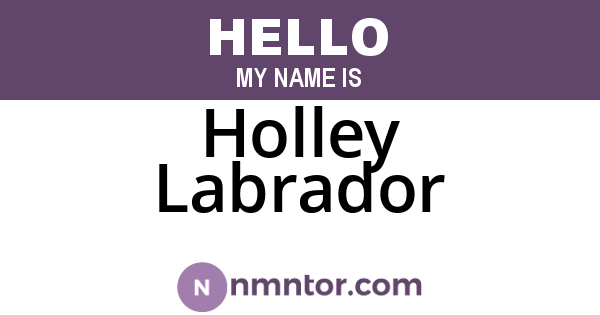 Holley Labrador