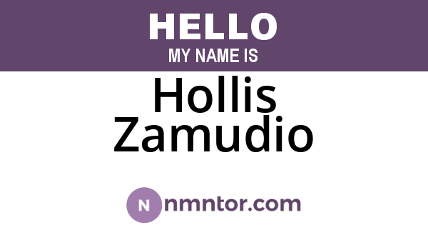 Hollis Zamudio