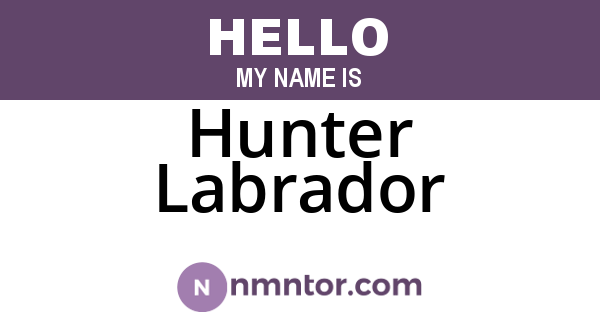 Hunter Labrador