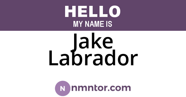 Jake Labrador