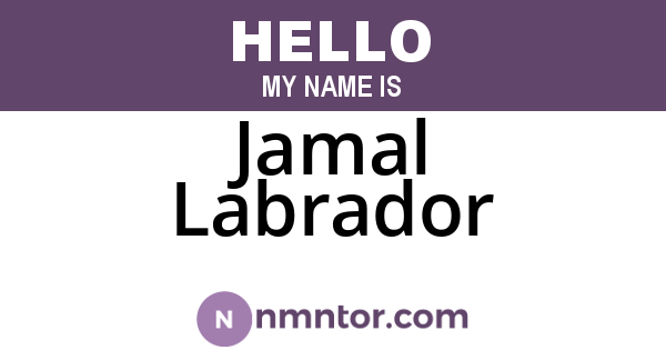 Jamal Labrador