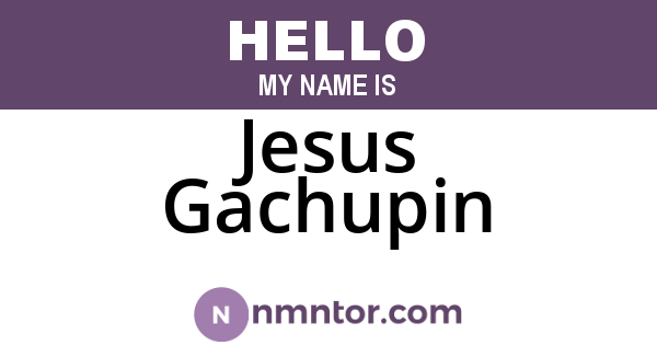 Jesus Gachupin