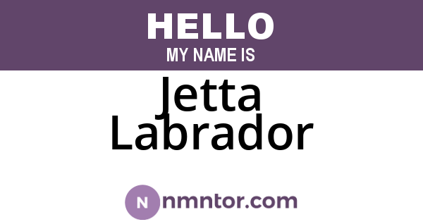 Jetta Labrador